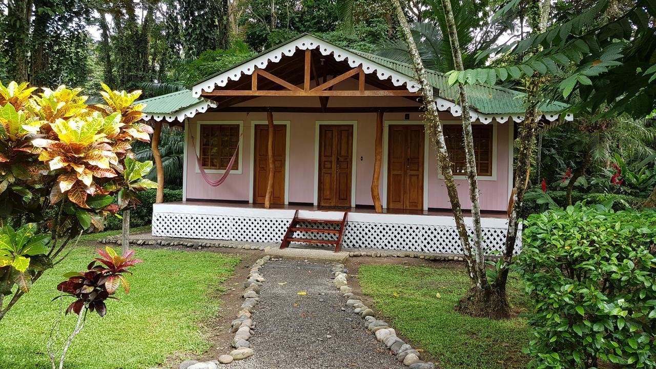 Ciudad Perdida Ecolodge Cahuita Exterior photo